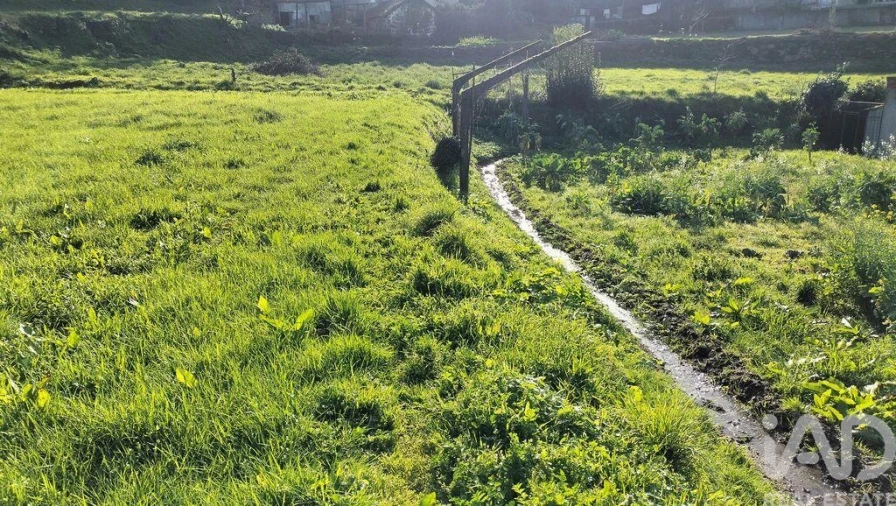 Terreno para Venda em Fonte Arcada Foto 10