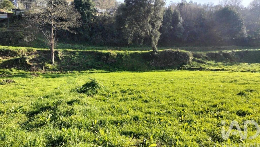Terreno para Venda em Fonte Arcada Foto 11