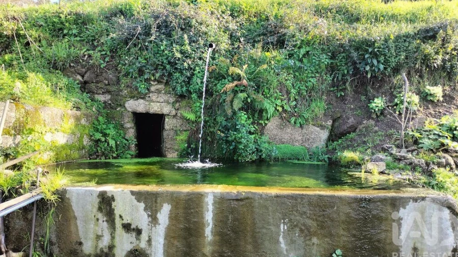 Terreno para Venda em Fonte Arcada