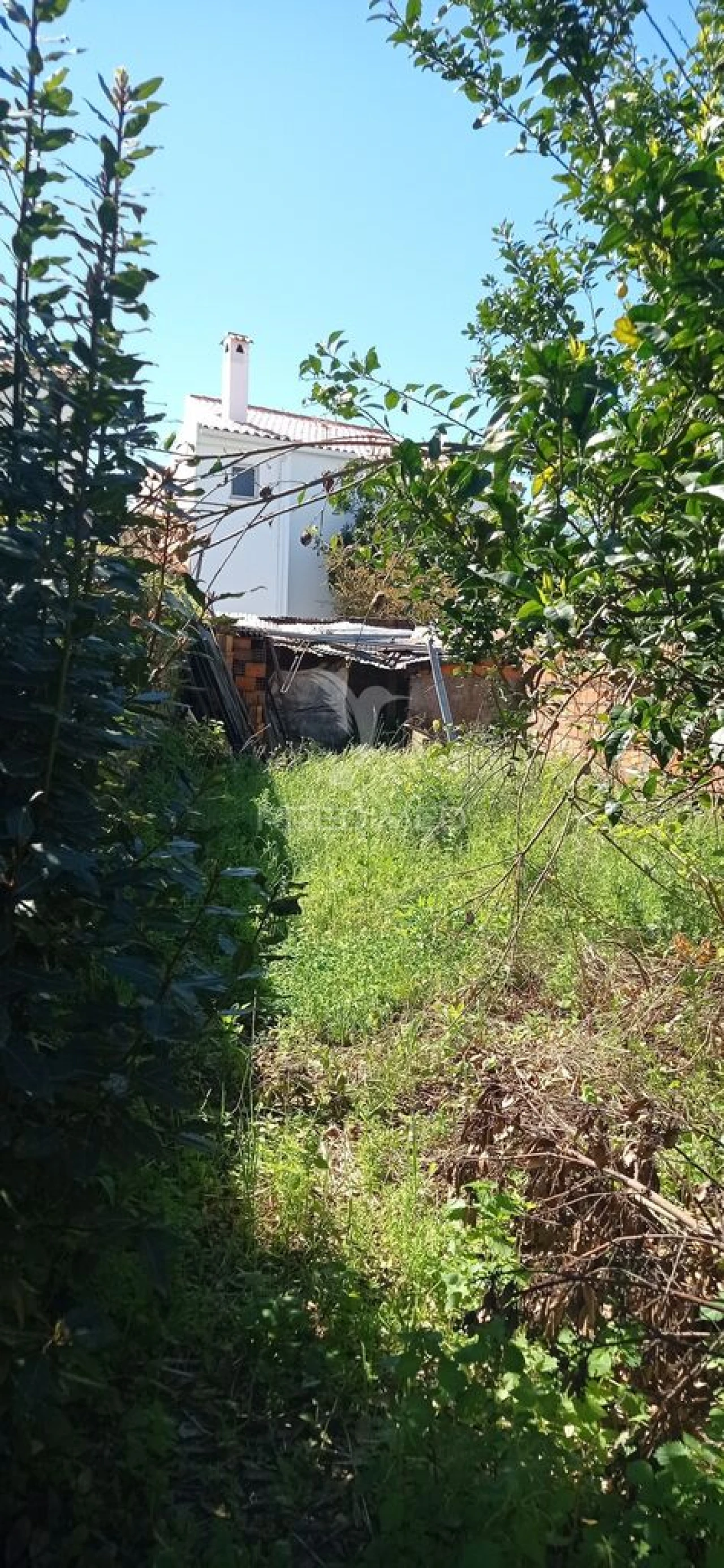 Moradia T4 para Venda em Alpalhão Foto 14