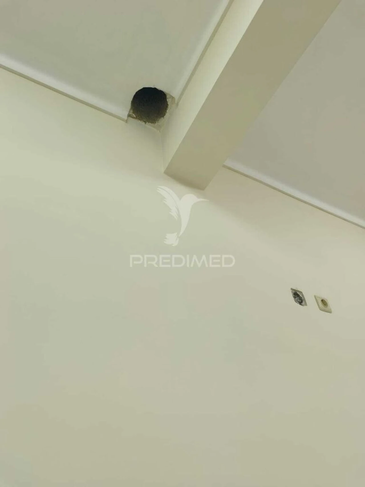 Loja para Venda em Cacém e São Marcos Foto 10