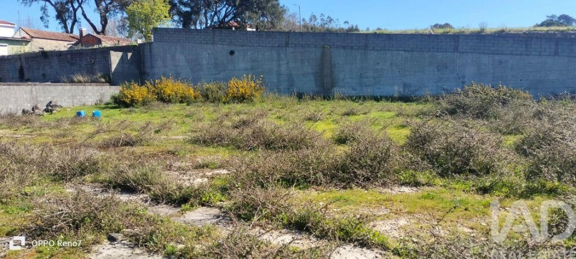 Terreno para Venda em Guilhabreu Foto 24