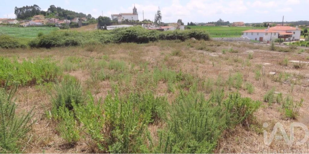 Terreno para Venda em Guilhabreu Foto 21