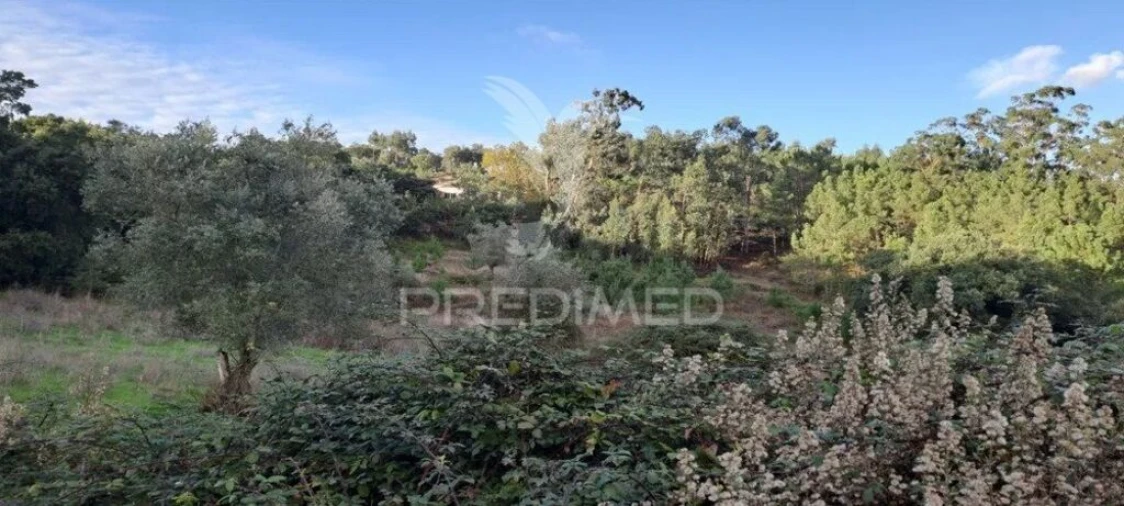 Terreno para Venda em Lousa Foto 2