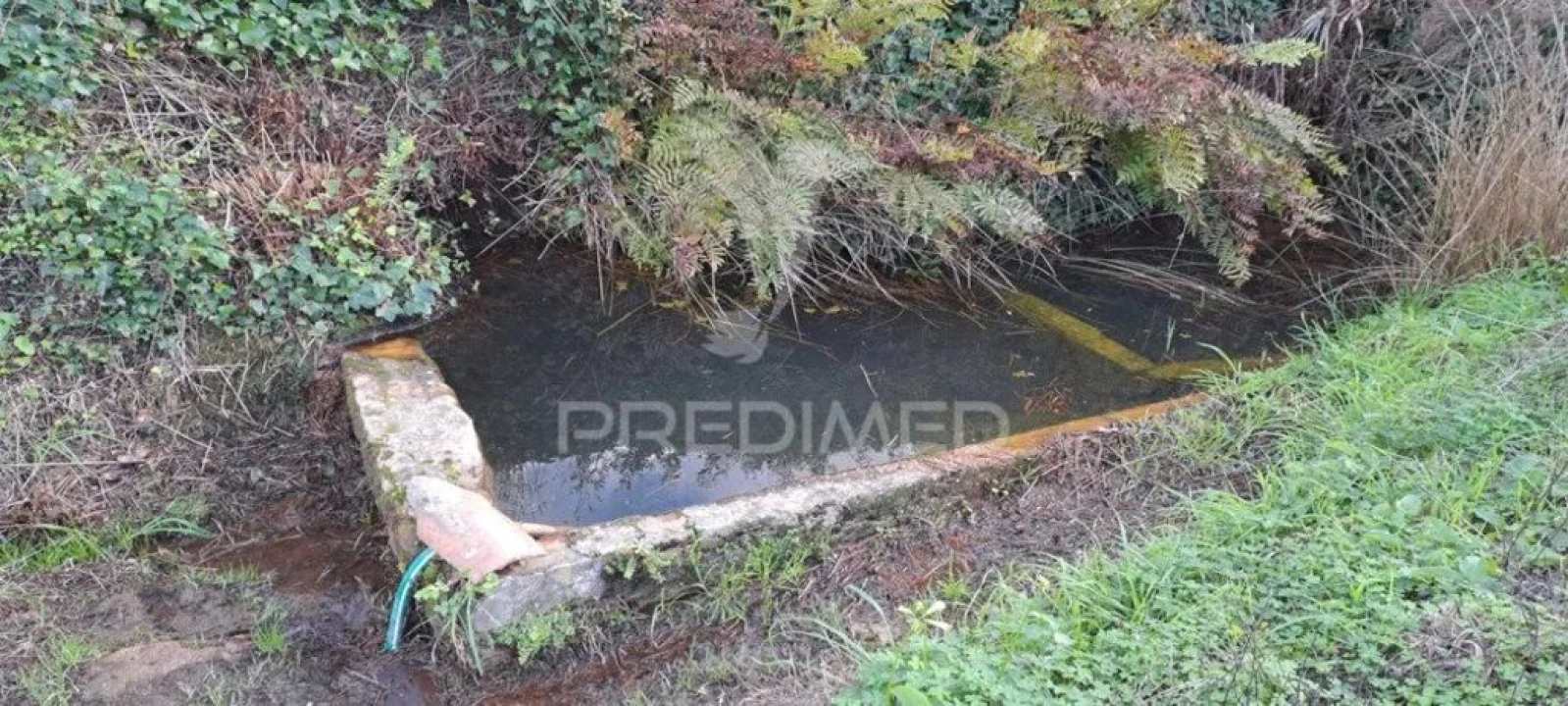 Terreno para Venda em Lousa Foto 1