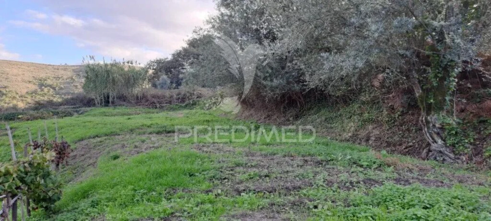 Terreno para Venda em Lousa Foto 5