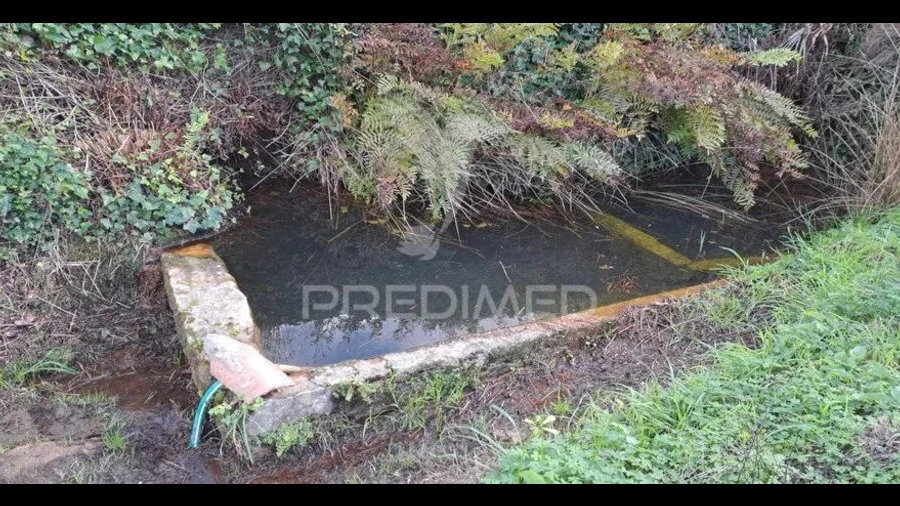 Terreno para Venda em Lousa