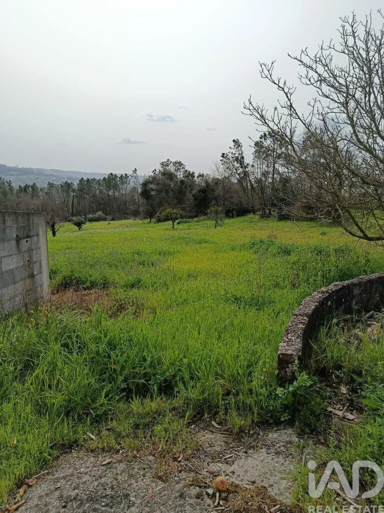 Moradia T2 para Venda em Santiago e São Simão de Litém e Albergaria dos Doze Foto 5