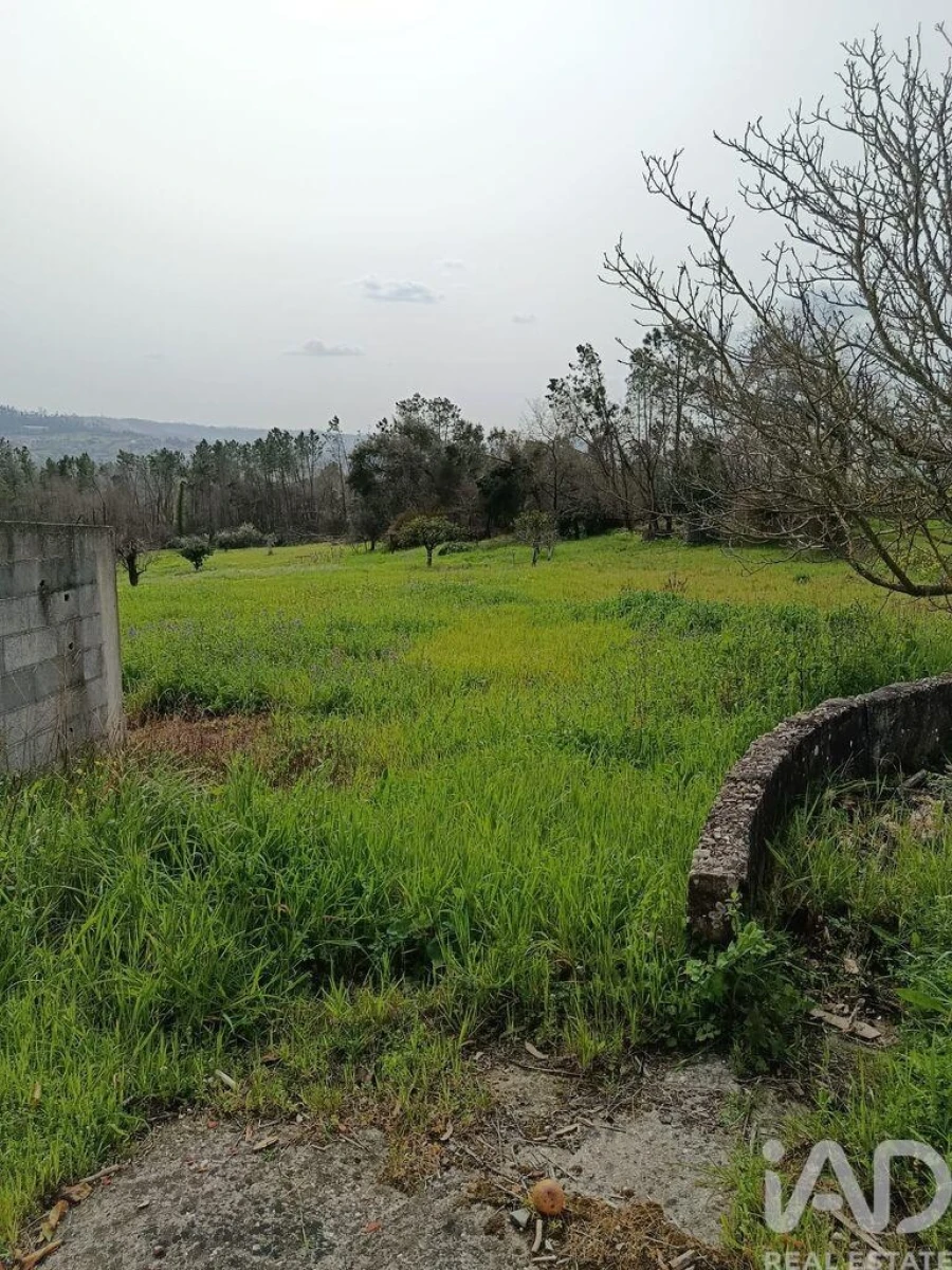 Moradia T2 para Venda em Santiago e São Simão de Litém e Albergaria dos Doze Foto 5