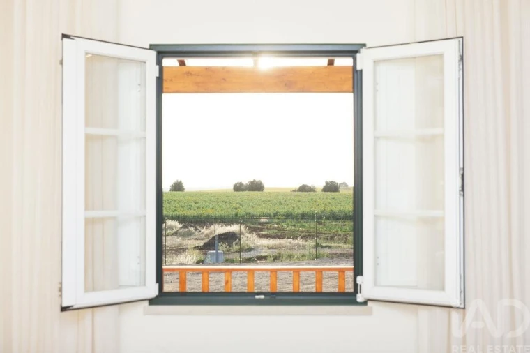 Loja para Arrendamento em Santa Vitória e Mombeja Foto 11