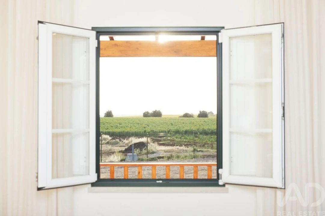 Loja para Arrendamento em Santa Vitória e Mombeja Foto 11