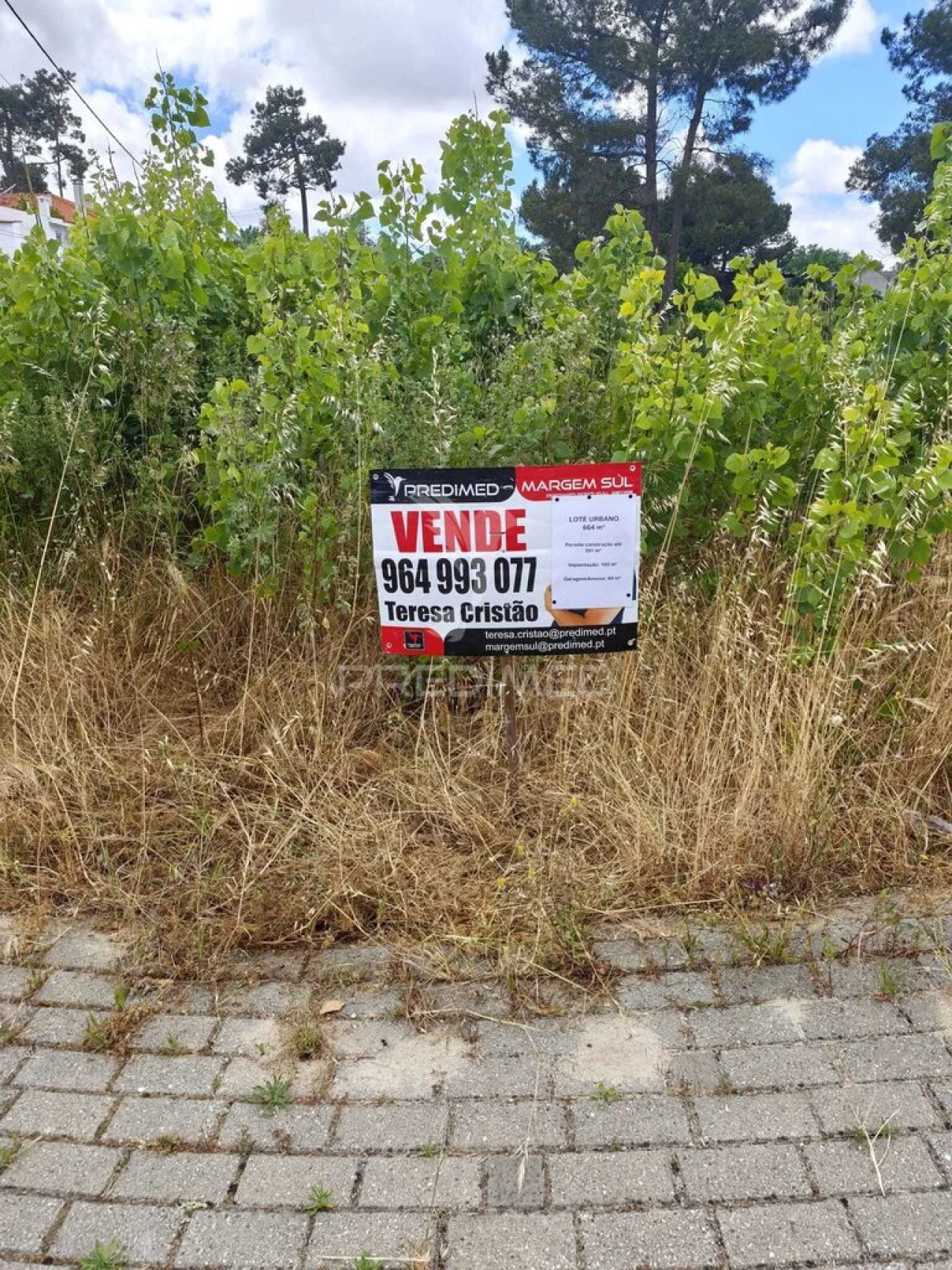 Terreno para Venda em Azeitão (São Lourenço e São Simão) Foto 1