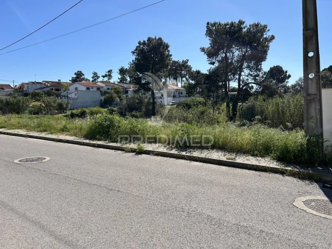 Terreno para Venda em Azeitão (São Lourenço e São Simão) Foto 18