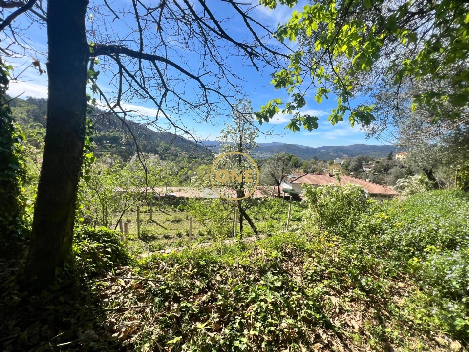 Moradia T2 para Venda em Ribeira Foto 17