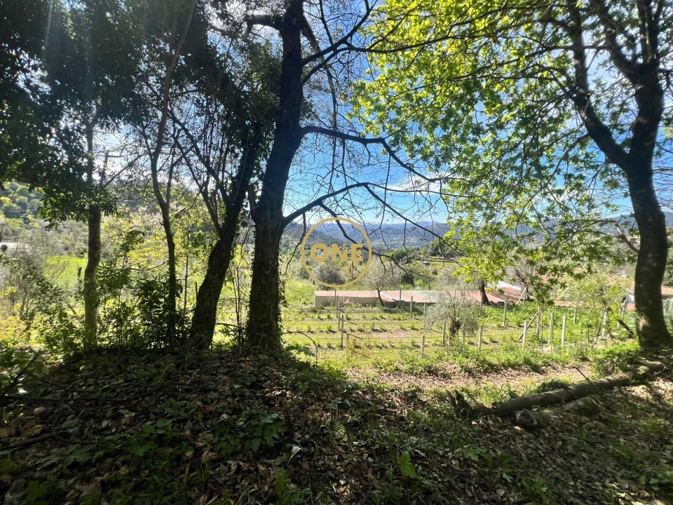 Moradia T2 para Venda em Ribeira Foto 28