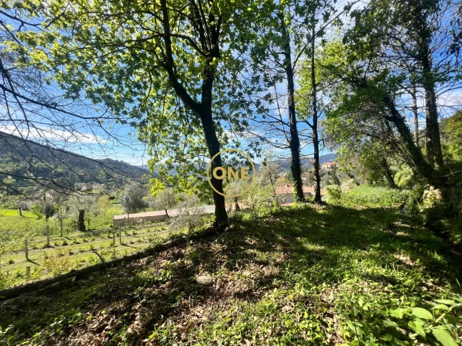 Moradia T2 para Venda em Ribeira Foto 29