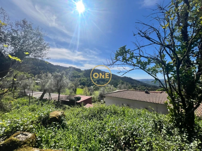 Moradia T2 para Venda em Ribeira Foto 24