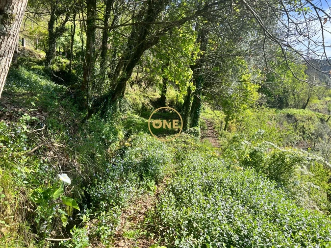 Moradia T2 para Venda em Ribeira Foto 25