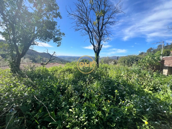 Moradia T2 para Venda em Ribeira Foto 26