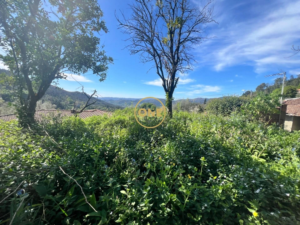 Moradia T2 para Venda em Ribeira Foto 26