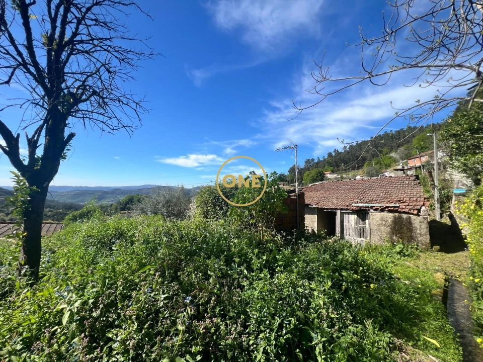 Moradia T2 para Venda em Ribeira Foto 20