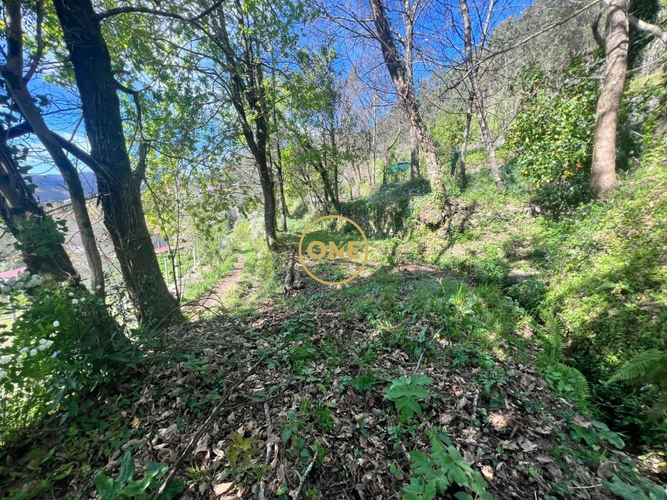 Moradia T2 para Venda em Ribeira Foto 27