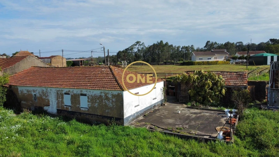 Moradia T3 para Venda em Loureiro Foto 4