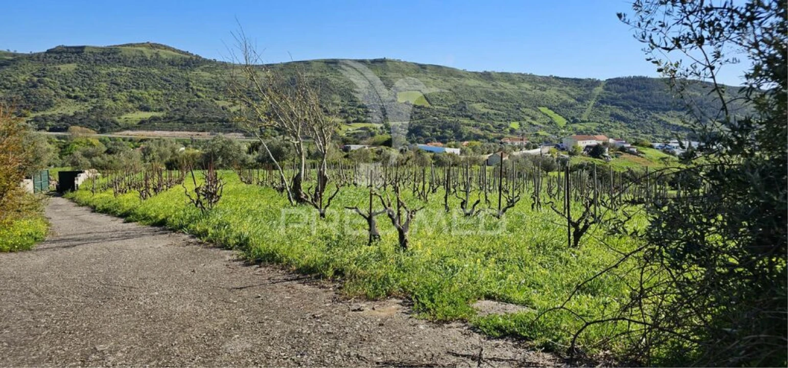 Terreno para Venda em Bucelas Foto 4