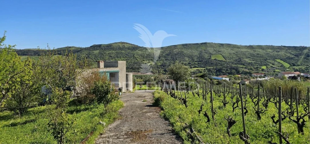 Terreno para Venda em Bucelas