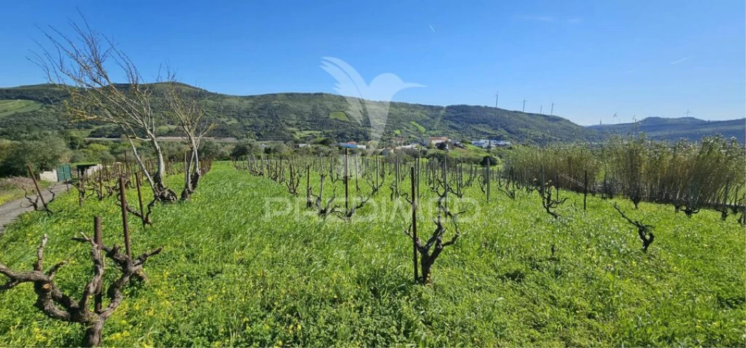 Terreno para Venda em Bucelas Foto 2