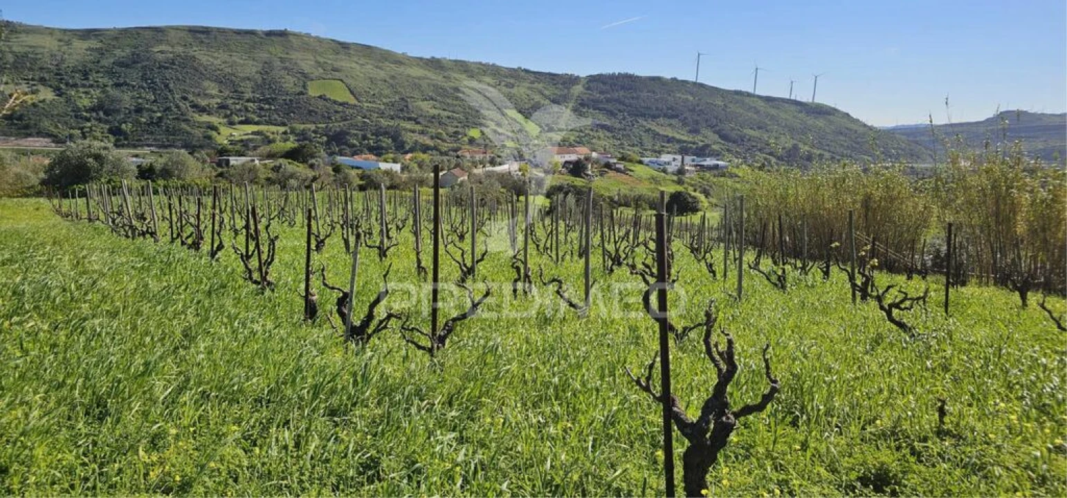 Terreno para Venda em Bucelas Foto 14
