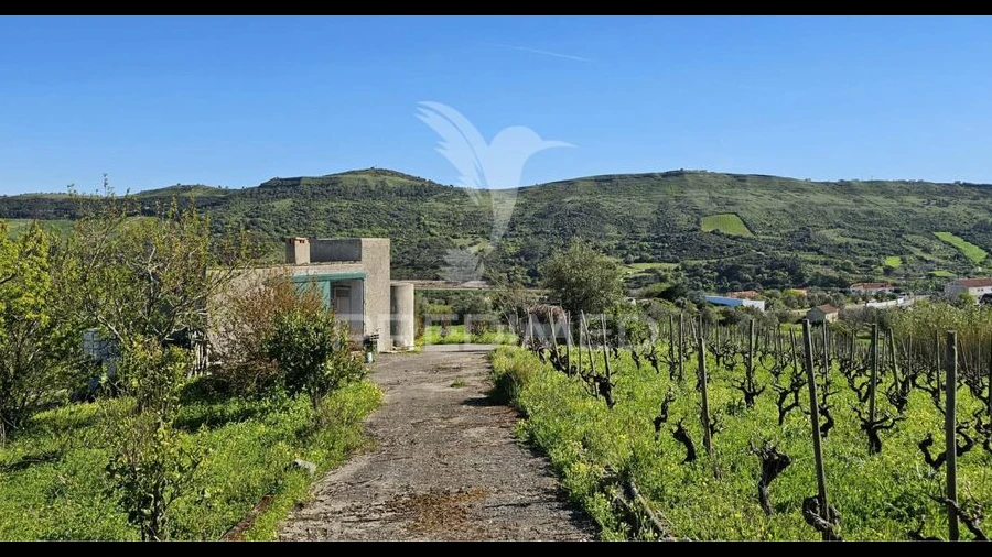 Terreno para Venda em Bucelas