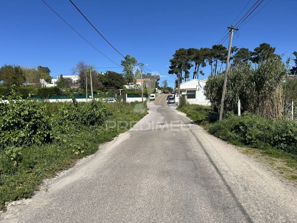 Terreno para Venda em Azeitão (São Lourenço e São Simão) Foto 17