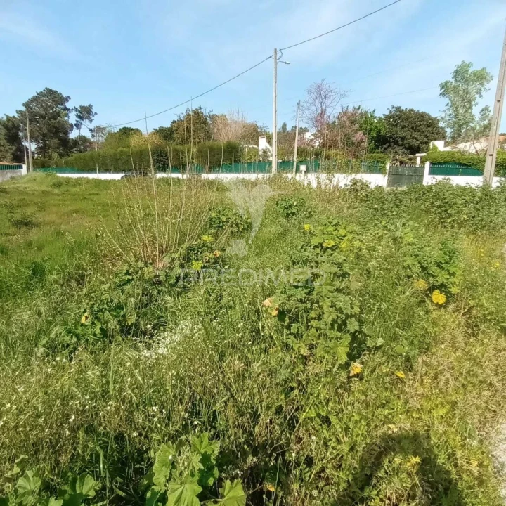 Terreno para Venda em Azeitão (São Lourenço e São Simão) Foto 4
