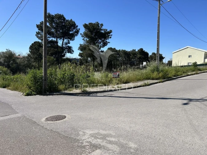 Terreno para Venda em Azeitão (São Lourenço e São Simão) Foto 14