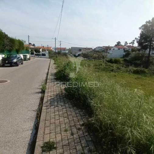 Terreno para Venda em Azeitão (São Lourenço e São Simão) Foto 5