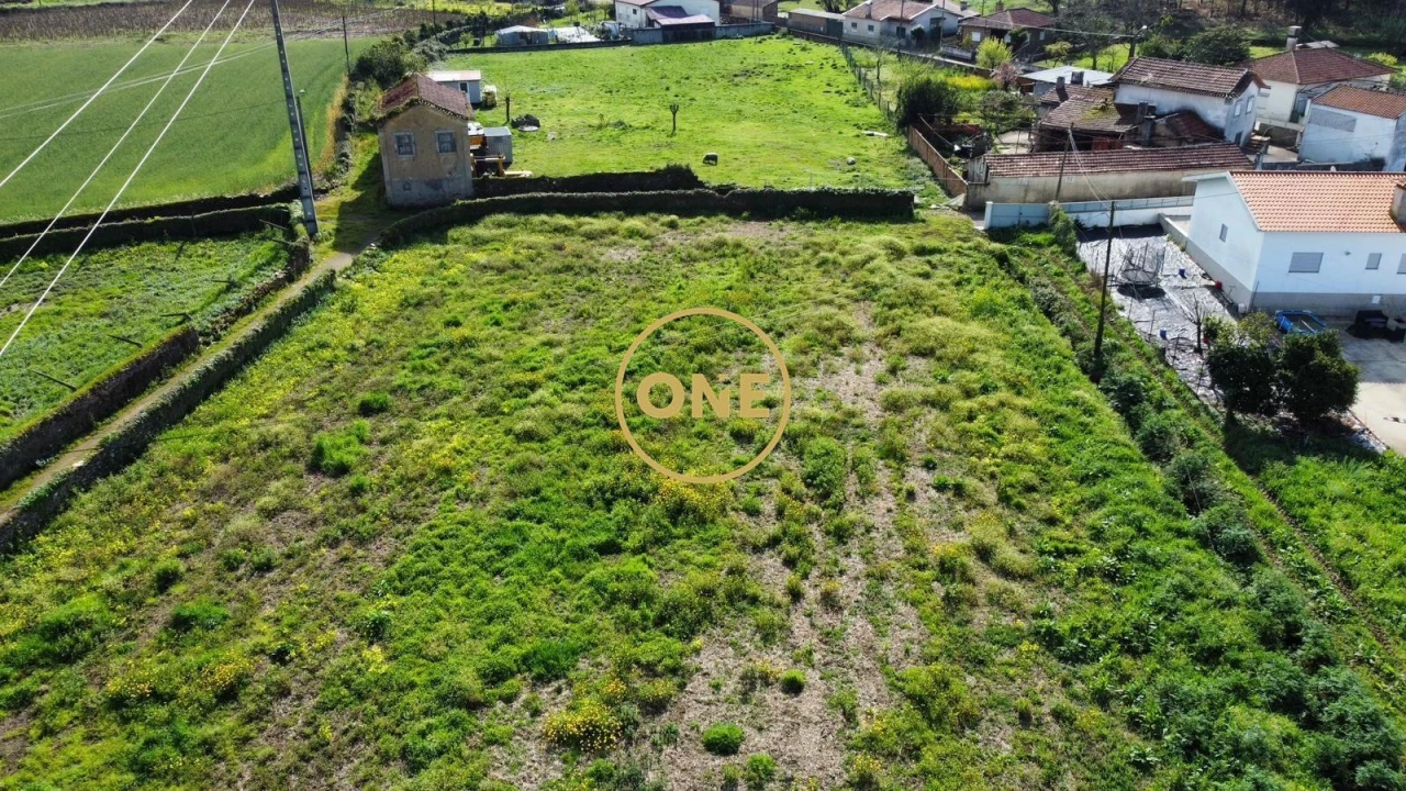 Terreno para Venda em Loureiro Foto 5