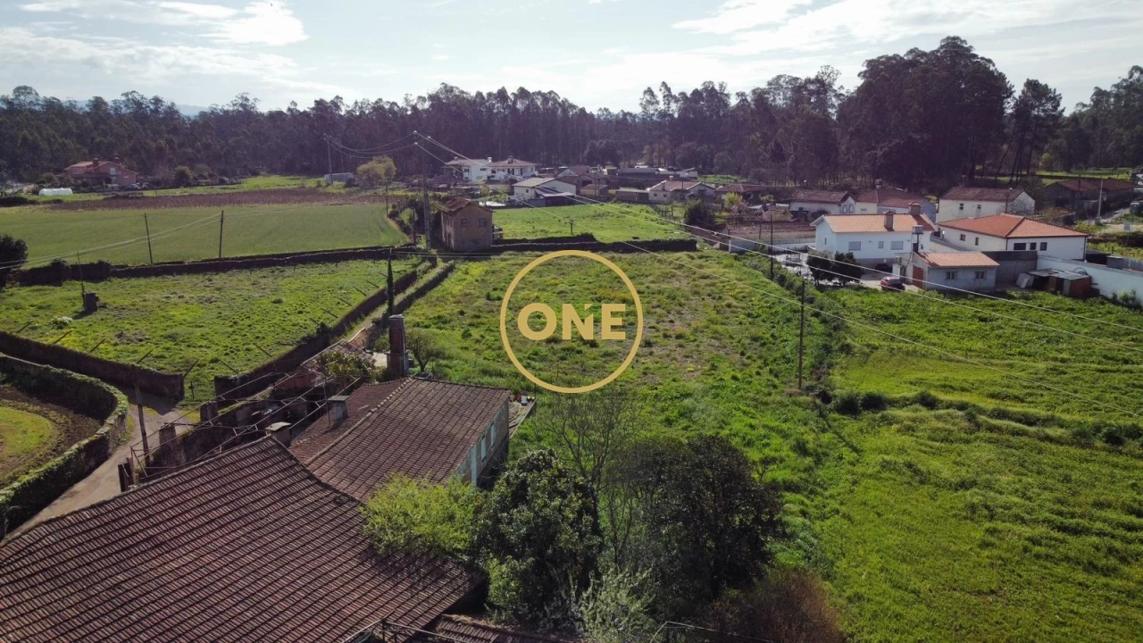 Terreno para Venda em Loureiro Foto 4