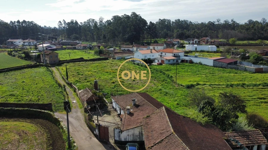 Terreno para Venda em Loureiro Foto 8