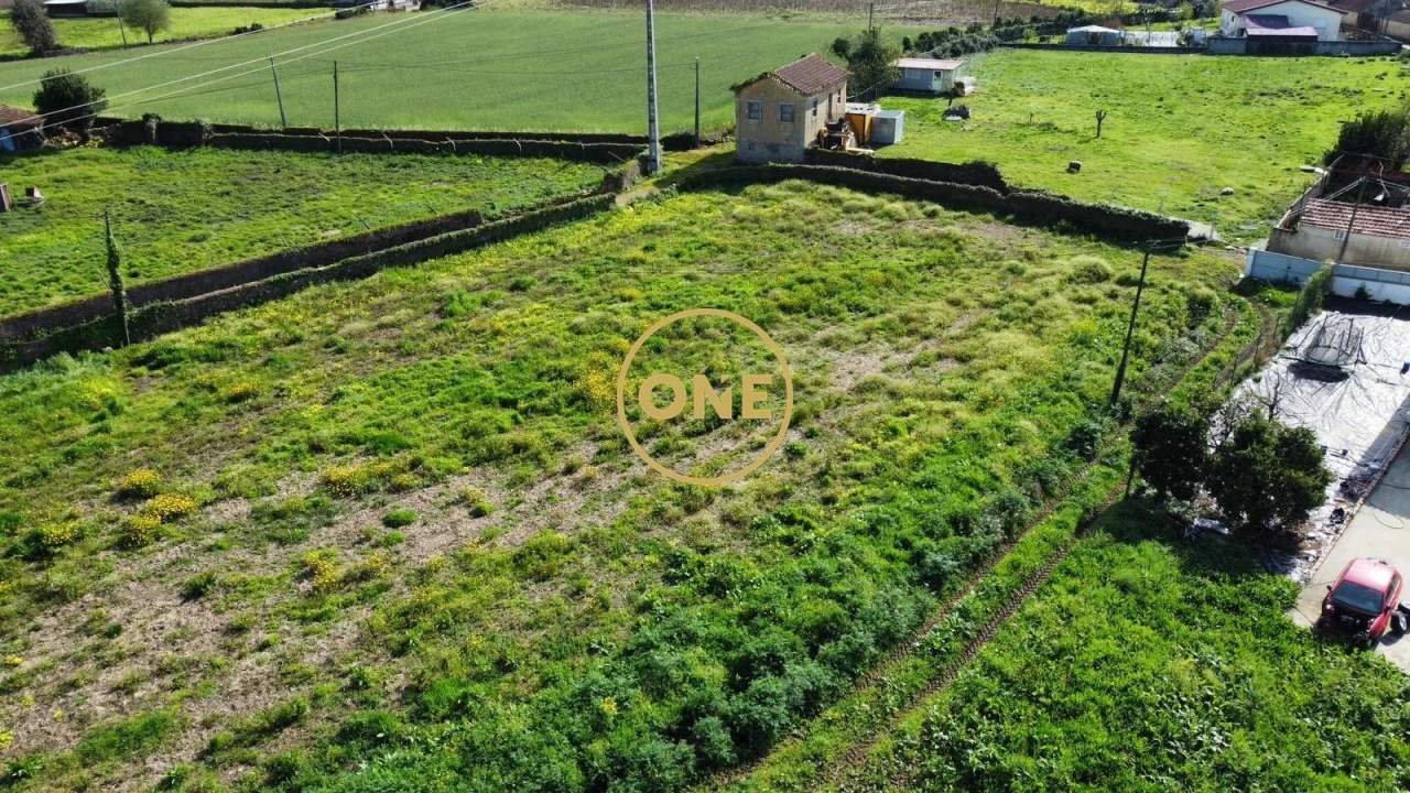 Terreno para Venda em Loureiro Foto 13
