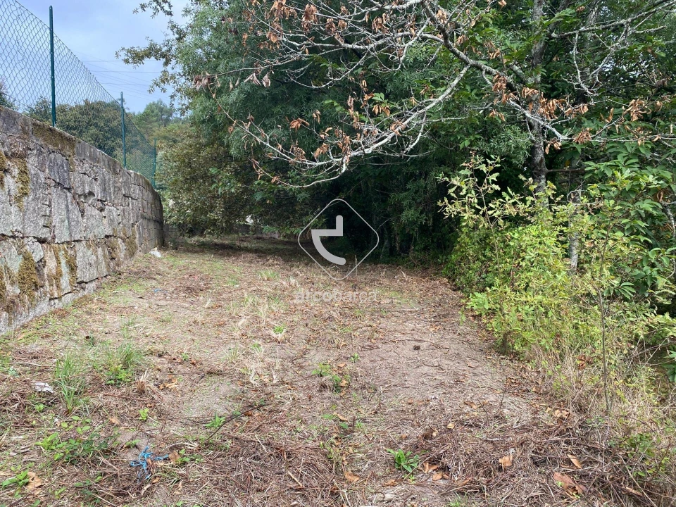 Terreno para Venda em Souto e Tabaçô Foto 14