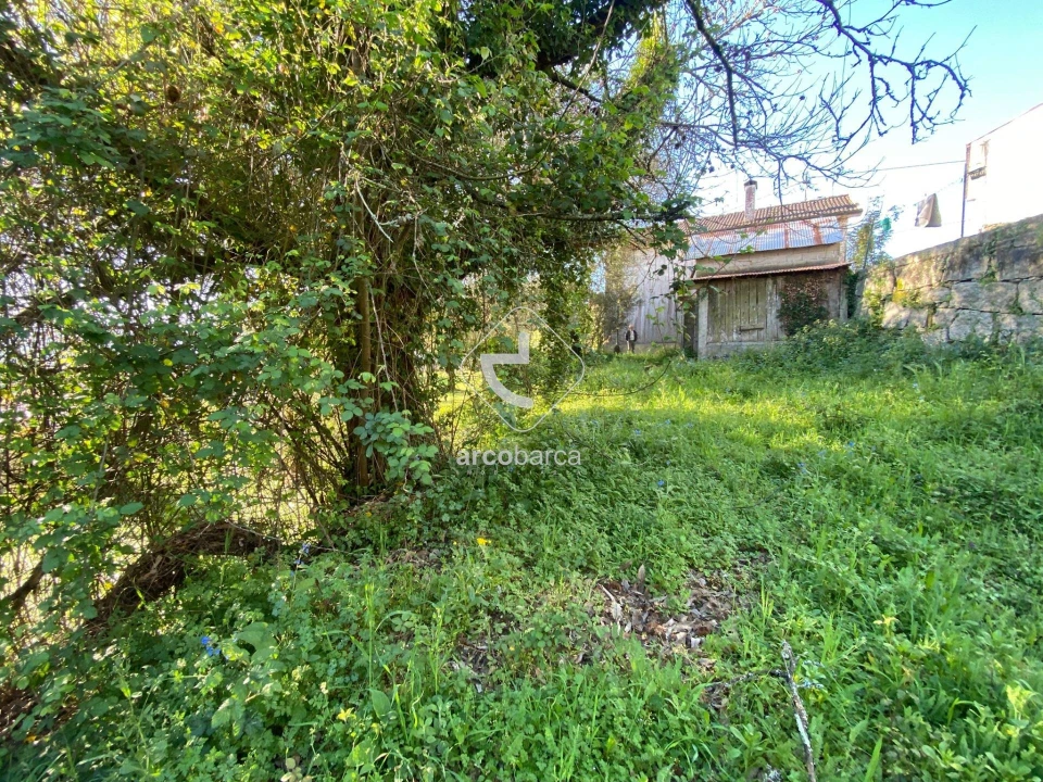 Terreno para Venda em Souto e Tabaçô Foto 6