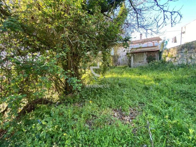 Terreno para Venda em Souto e Tabaçô Foto 6