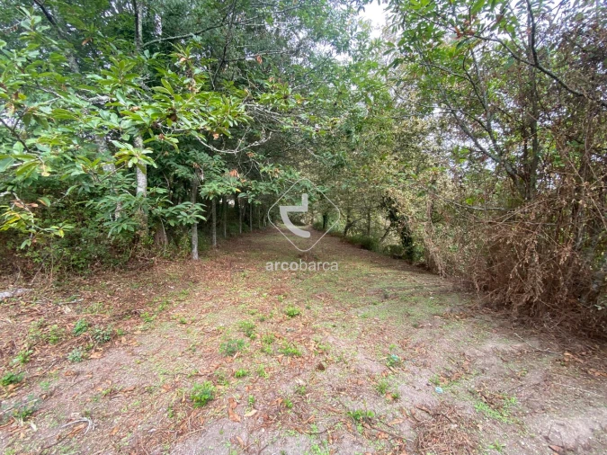 Terreno para Venda em Souto e Tabaçô Foto 12