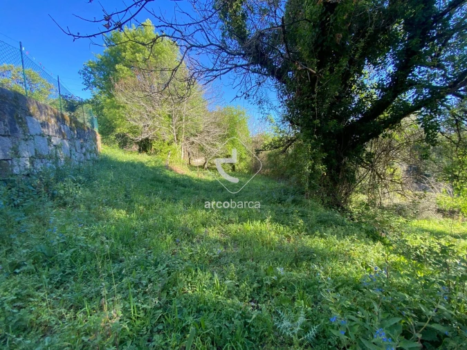 Terreno para Venda em Souto e Tabaçô Foto 8