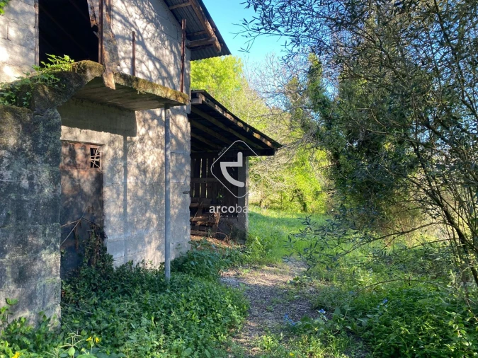 Terreno para Venda em Souto e Tabaçô Foto 5