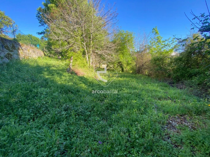 Terreno para Venda em Souto e Tabaçô Foto 9