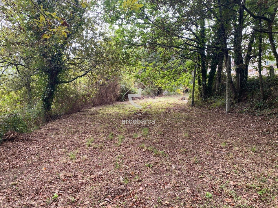 Terreno para Venda em Souto e Tabaçô Foto 13