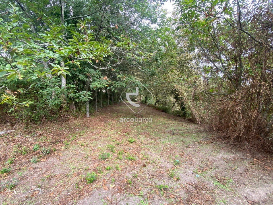 Terreno para Venda em Souto e Tabaçô Foto 12