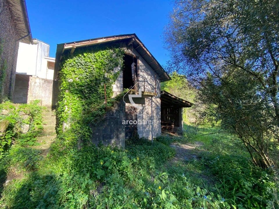 Terreno para Venda em Souto e Tabaçô Foto 3